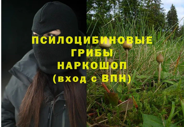прущий лед Дмитров