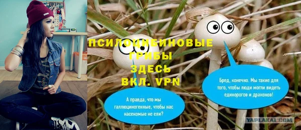 ALPHA-PVP Дмитриев
