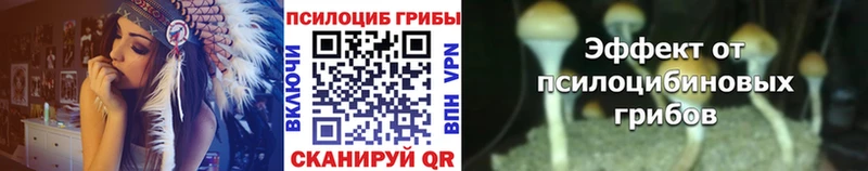 Купить где  Среднеуральск  Галлюциногенные грибы GOLDEN TEACHER 